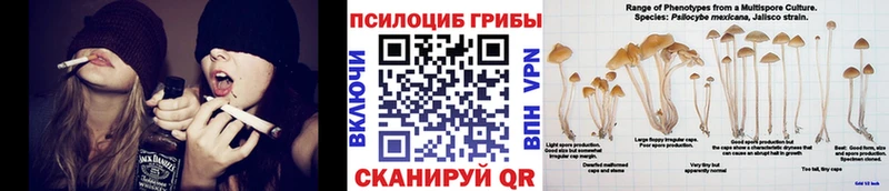 Псилоцибиновые грибы Psilocybe  блэк спрут ССЫЛКА  Белый 